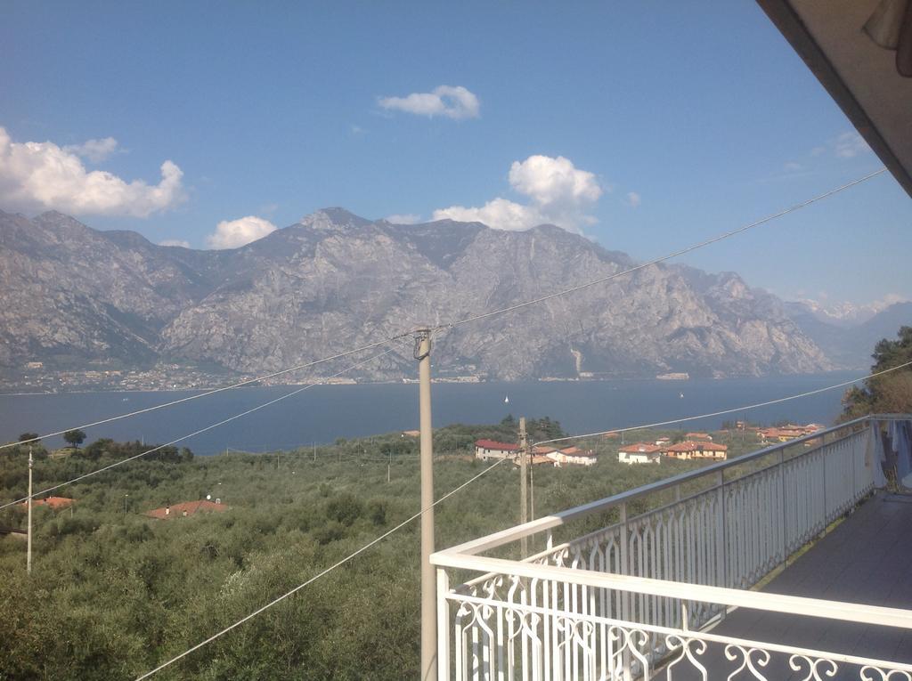 Arianna Panoramic *
