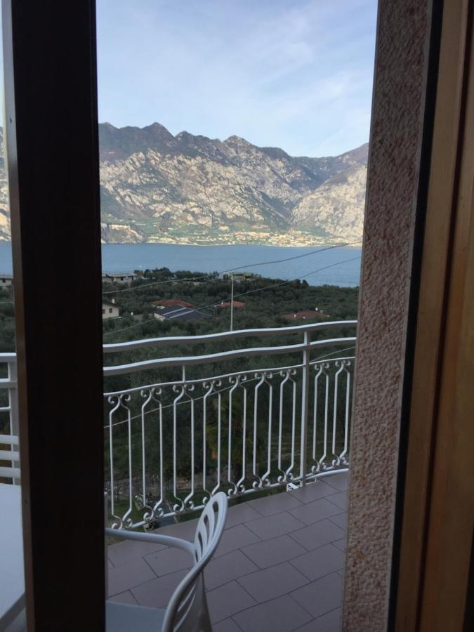 Arianna Panoramic
